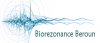 Biorezonance Bicom Beroun